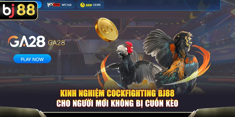 Kinh Nghiệm Cockfighting BJ88 Cho Người Mới Không Bị Cuốn Kèo 1 Kinh Nghiệm Cockfighting BJ88 Cho Người Mới Không Bị Cuốn Kèo