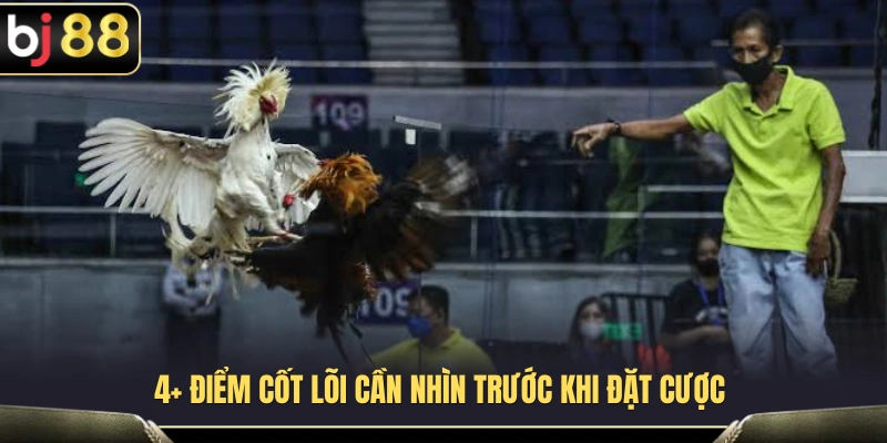 Đá Gà Cựa Sắt BJ88 – Những Điểm Cần Nhìn Trước Khi Chọn Cửa 4 4 yếu tố quan trọng cần quan sát khi theo dõi một trận đá gà