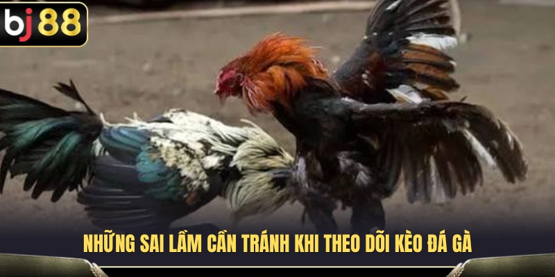 Đá Gà Thomo BJ88 – Cách Theo Dõi Kèo Trước Khi Vào Trận 4 Những sai lầm phổ biến khi đánh giá diễn biến trận đấu