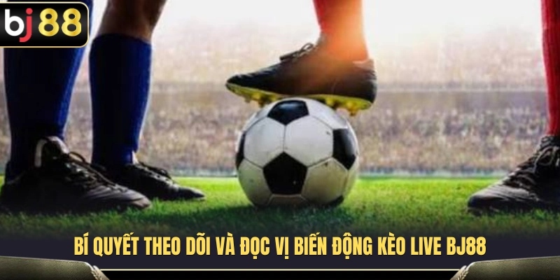 Kèo Live BJ88 – Theo Dõi Biến Động Tỷ Lệ Khi Trận Đang Chạy 4 Lưu ý quan trọng khi theo dõi biến động tỷ lệ cược trực tiếp
