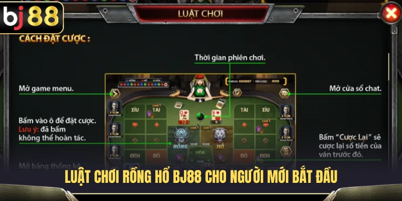 Rồng Hổ BJ88 – Ván Nhanh, Luật Gọn, Dễ Theo Dõi 3 Hướng dẫn làm quen với cơ chế hoạt động của Rồng Hổ